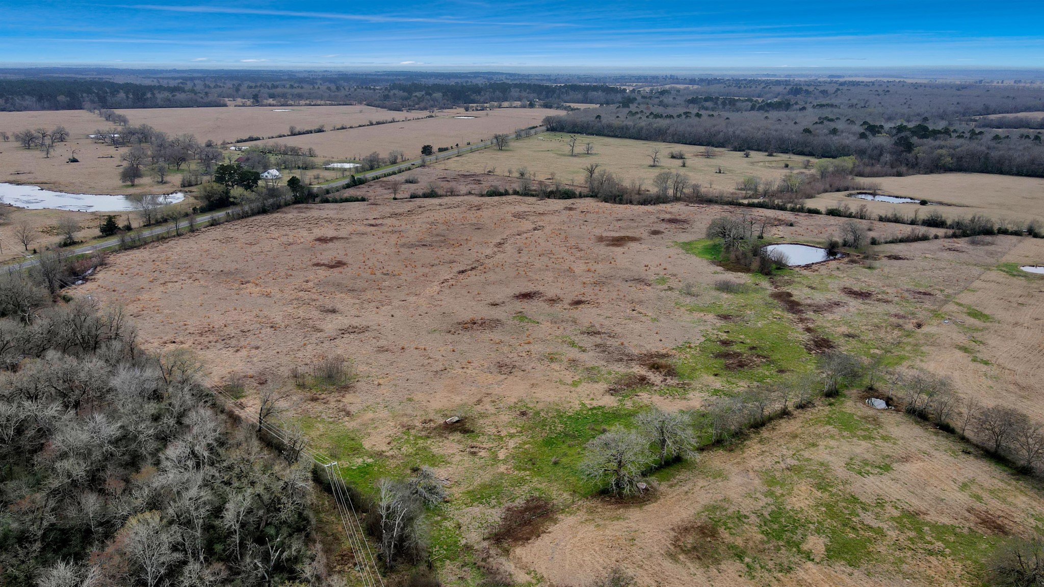 12755 Fm 230 Lovelady, TX 75851 - Photo 10 of 26 a view of a dry yard with wooden fence