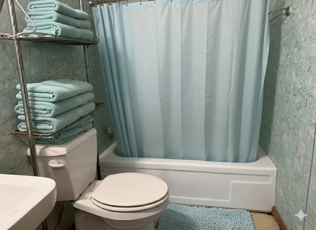a bathroom with a toilet and a shower curtain