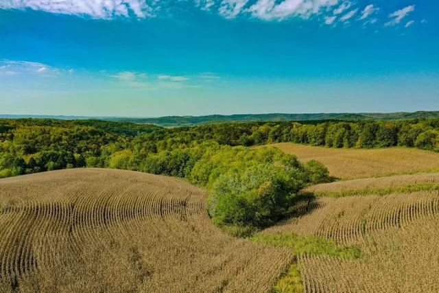 $771,000 | Tbd Tbd Garves Road, Bangor, WI 54614