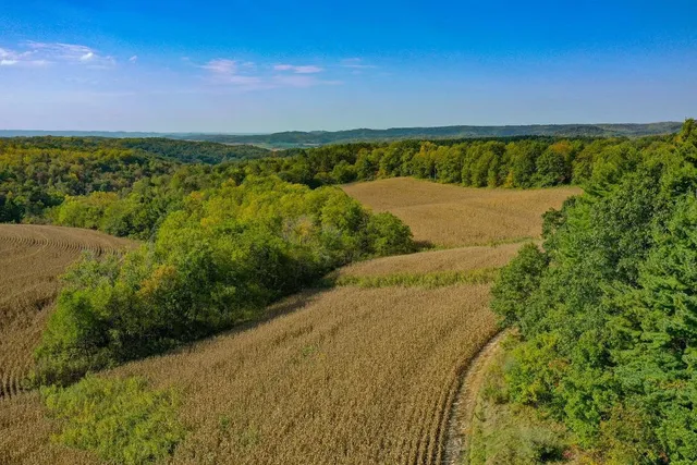 $771,000 | Tbd Tbd Garves Road, Bangor, WI 54614