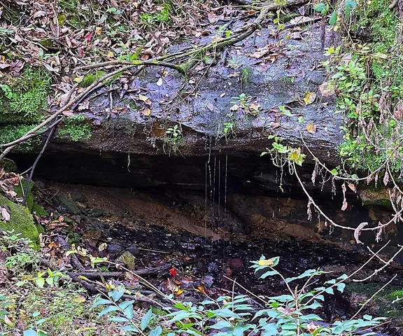 $771,000 | Tbd Tbd Garves Road, Bangor, WI 54614