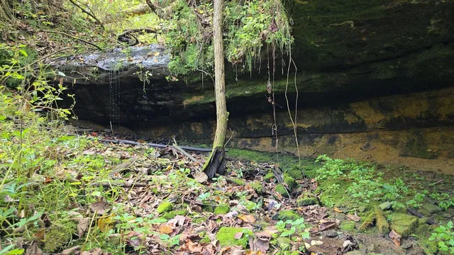 $771,000 | Tbd Tbd Garves Road, Bangor, WI 54614