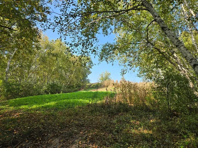 $771,000 | Tbd Tbd Garves Road, Bangor, WI 54614