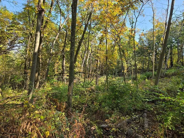 $771,000 | Tbd Tbd Garves Road, Bangor, WI 54614