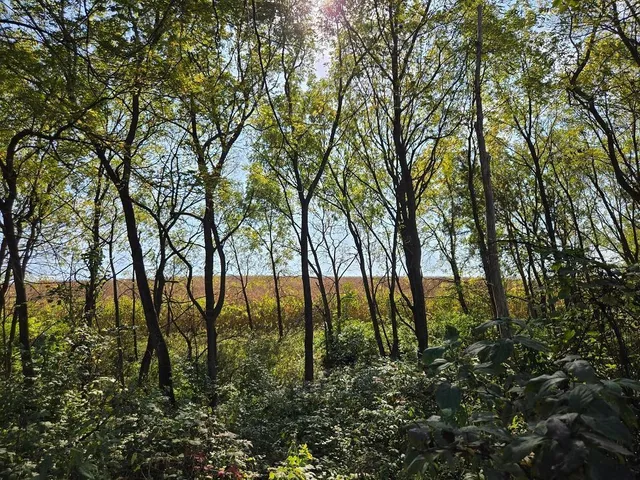 $771,000 | Tbd Tbd Garves Road, Bangor, WI 54614