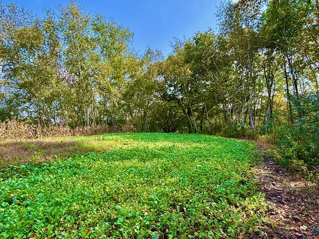 $771,000 | Tbd Tbd Garves Road, Bangor, WI 54614