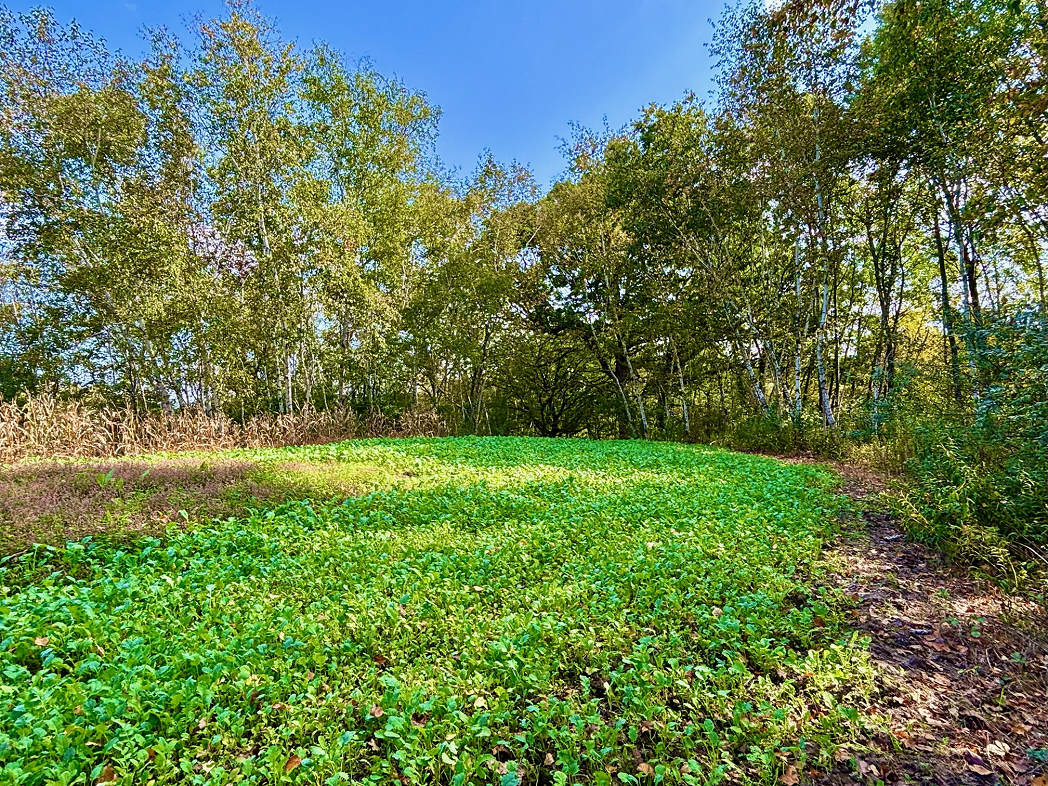 Tbd Tbd Garves Road Bangor, WI 54614 - Photo 26 of 50