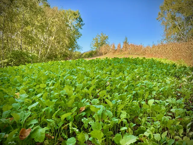 $771,000 | Tbd Tbd Garves Road, Bangor, WI 54614