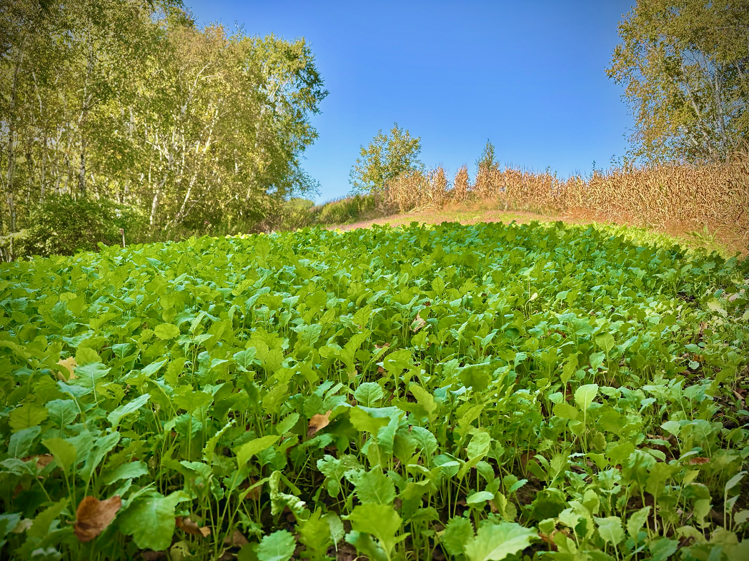 Tbd Tbd Garves Road Bangor, WI 54614 - Photo 27 of 50