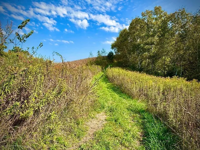 $771,000 | Tbd Tbd Garves Road, Bangor, WI 54614