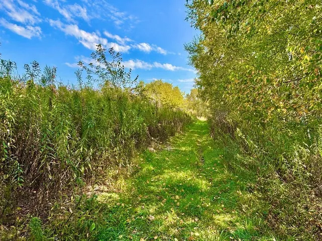 $771,000 | Tbd Tbd Garves Road, Bangor, WI 54614