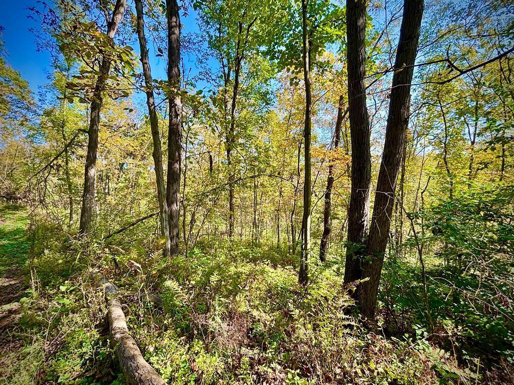 Tbd Tbd Garves Road Bangor, WI 54614 - Photo 41 of 50