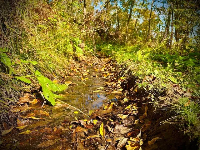 $771,000 | Tbd Tbd Garves Road, Bangor, WI 54614