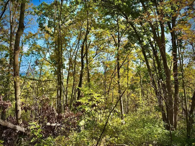 $771,000 | Tbd Tbd Garves Road, Bangor, WI 54614