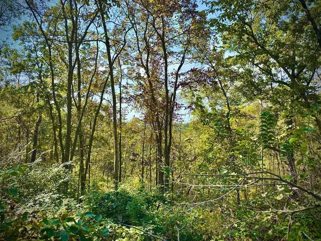 $771,000 | Tbd Tbd Garves Road, Bangor, WI 54614