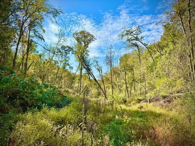 $771,000 | Tbd Tbd Garves Road, Bangor, WI 54614