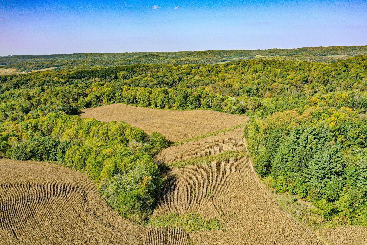 Tbd Tbd Garves Road Bangor, WI 54614 - Photo 7 of 50