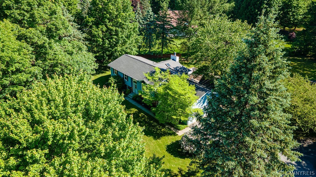 13670 Martin Road Akron, NY 14001 - Photo 46 of 49