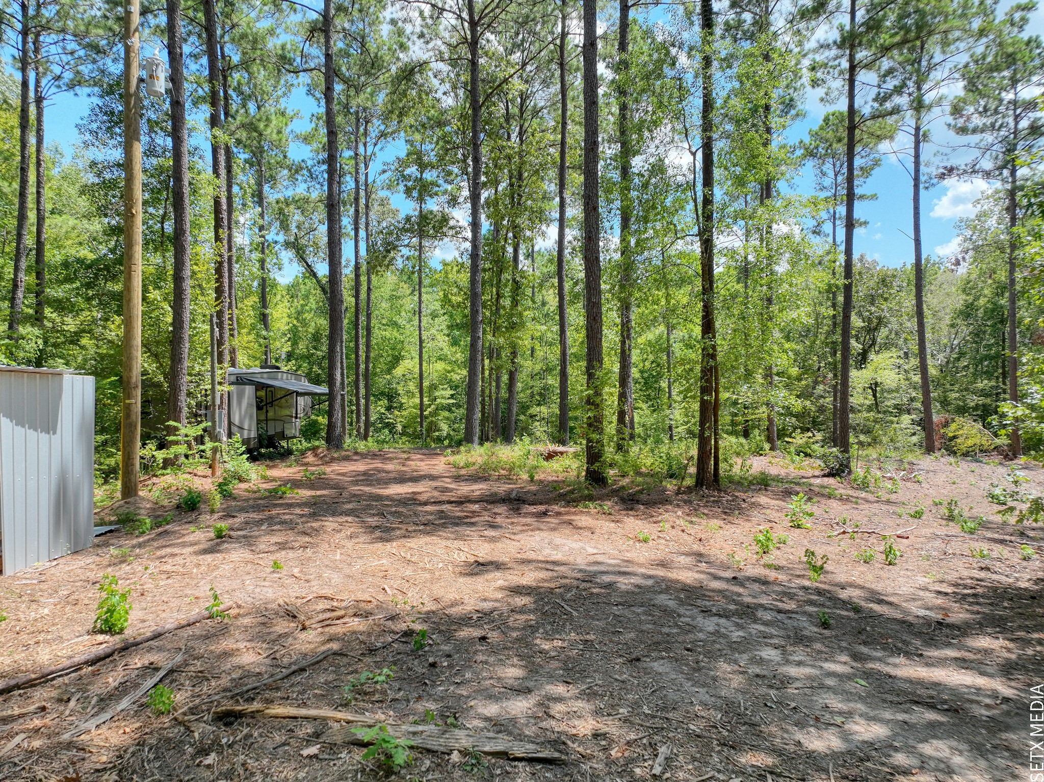 1 Fm 83 Bronson, TX 75930 - Photo 5 of 14 a backyard of a house with large trees and plants