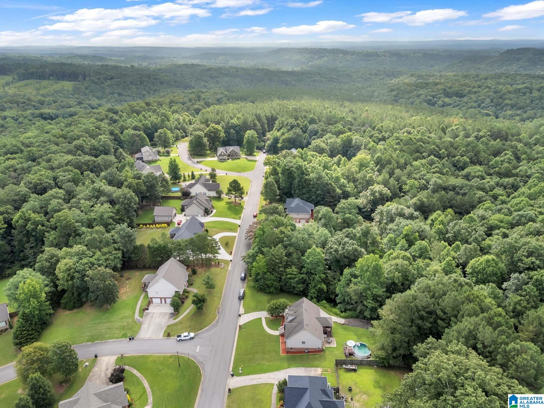 2024 Rising Fawn Drive Warrior, AL 35180 - Photo 44 of 45