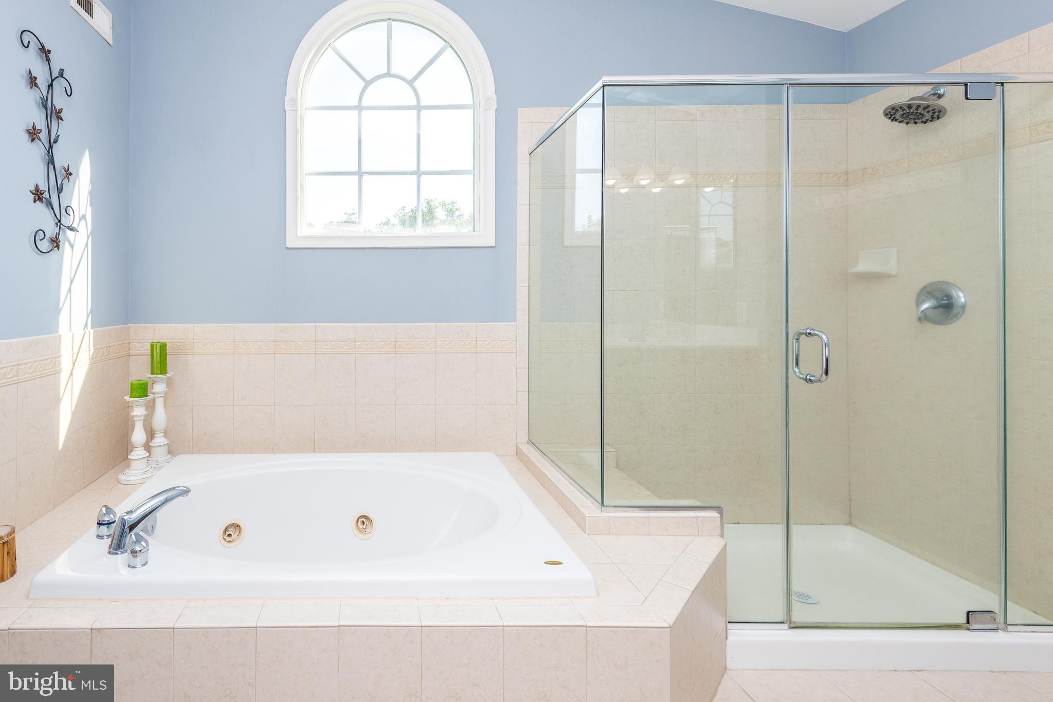 238 Barnhill Road Perkasie, PA 18944 - Photo 36 of 62 Frameless shower door in master bath