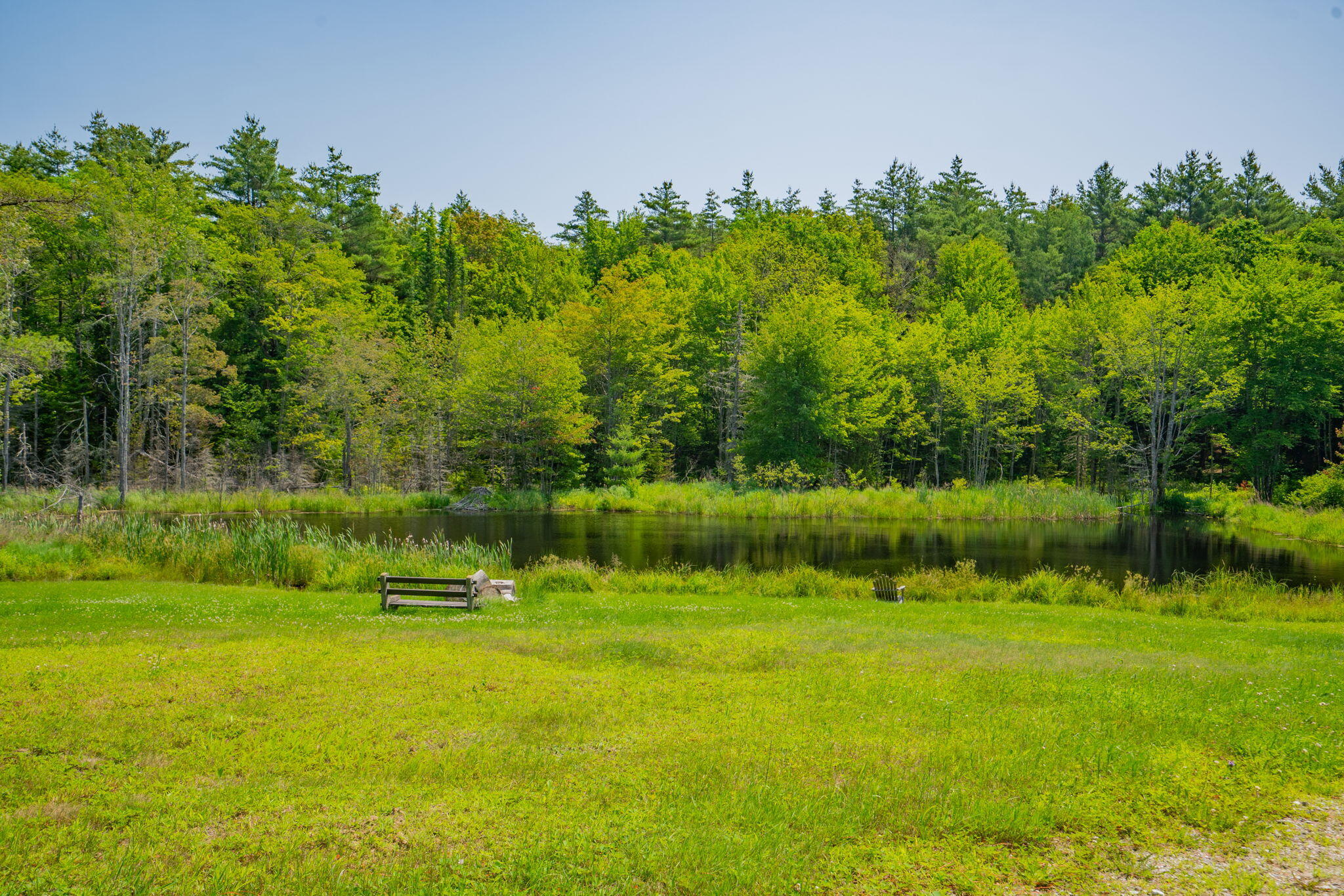 897 Lewis Hill Road Bowdoin, ME 04287 - Photo 21 of 79 85-web-or-mls-DSC07168
