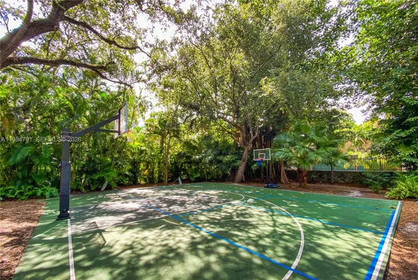 a view of a backyard with a tree