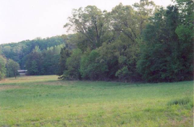 668 Martin Road Ware Shoals, SC 29692 - Photo 1 of 1 Main View