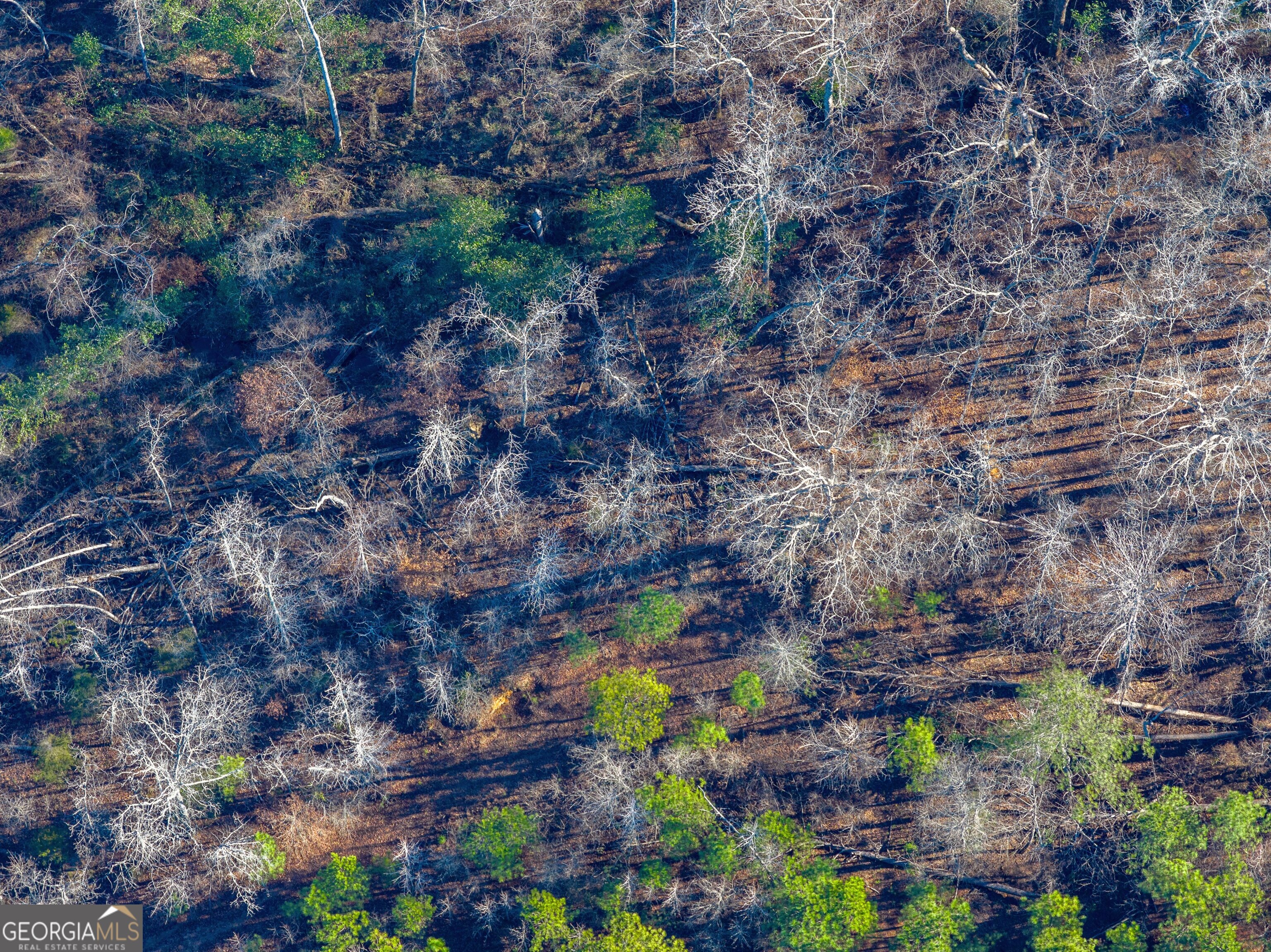Tract 2 Dunbar School Road Williamson, GA 30292 - Photo 15 of 18