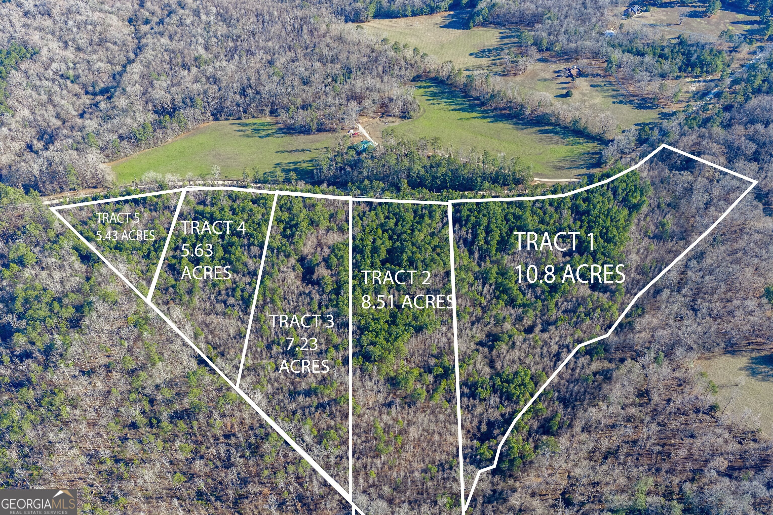 Tract 2 Dunbar School Road Williamson, GA 30292 - Photo 3 of 18