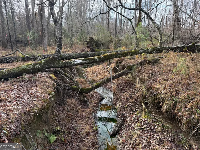 $149,000 | Tract 2 Dunbar School Road, Williamson, GA 30292