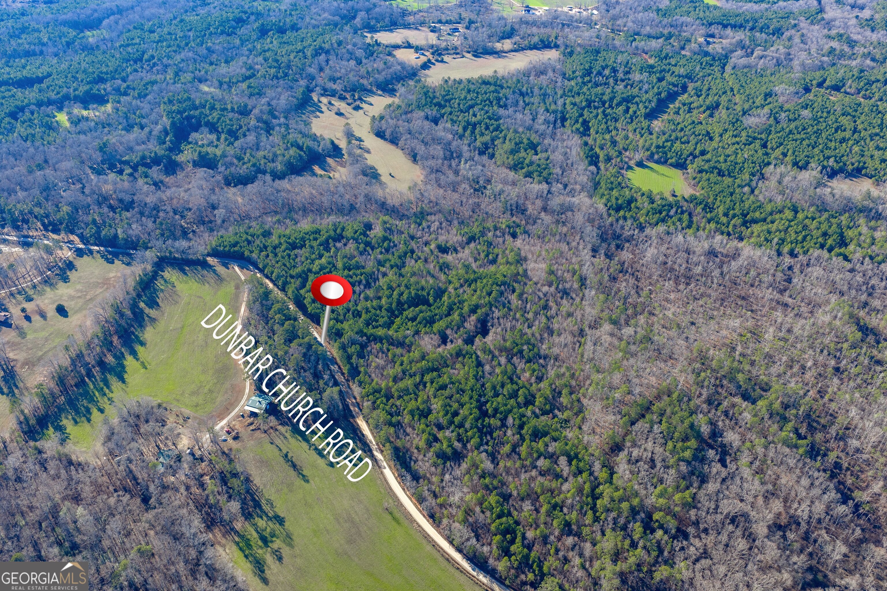 Tract 2 Dunbar School Road Williamson, GA 30292 - Photo 5 of 18