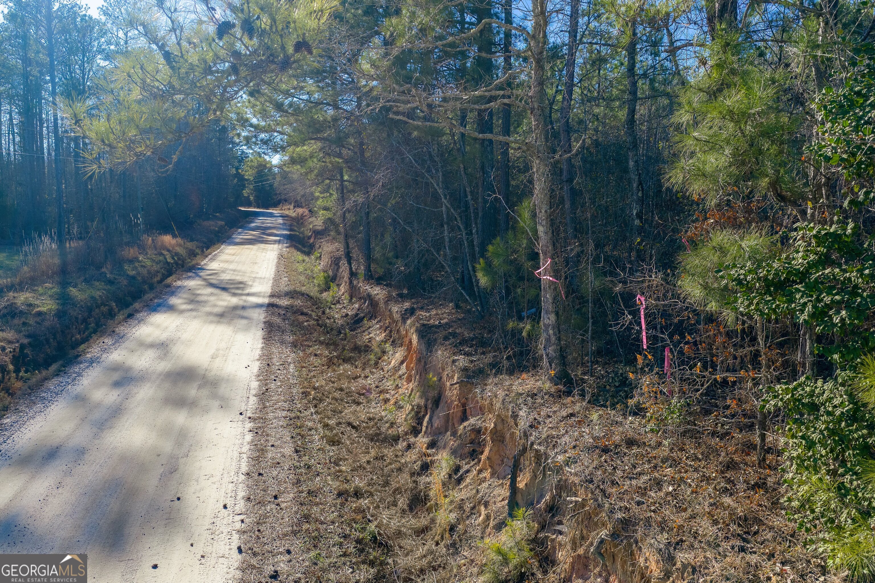 Tract 2 Dunbar School Road Williamson, GA 30292 - Photo 7 of 18