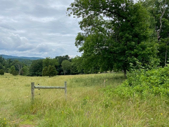 834 Skydusky Road, Unit 69 Bland, VA 24315 - Photo 12 of 62 Gallery Image 12