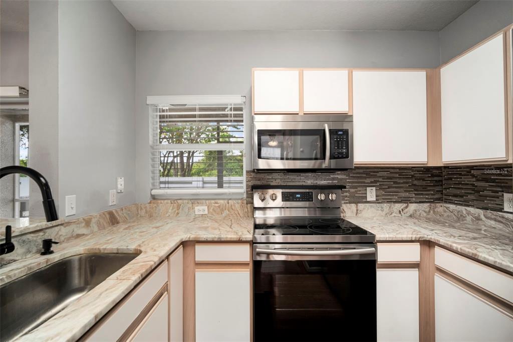 1231 Charlesworth Drive Wesley Chapel, FL 33543 - Photo 14 of 41 a kitchen with a sink stove and microwave
