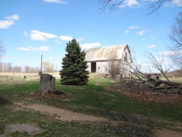 6696 Pakes Road Greenville, MI 48838 - Photo 2 of 19 023