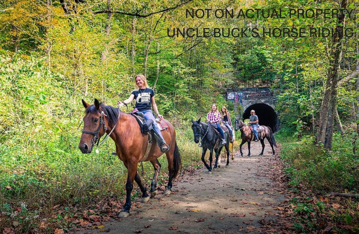 6321 R K Miller Road Logan, OH 43138 - Photo 89 of 90 Uncle Buck's Horse Riding