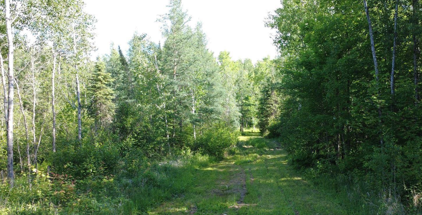 Tbd242.25 Lavell Road Meadowlands, MN 55765 - Photo 11 of 58