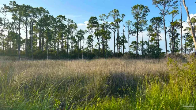 $619,000 | 16300 Innerarity Point Road, Pensacola, FL 32507