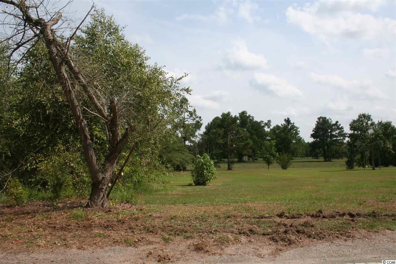 Lot 3 Floyd Page Road Galivants Ferry, SC 29544 - Photo 1 of 1 Gallery Image 1
