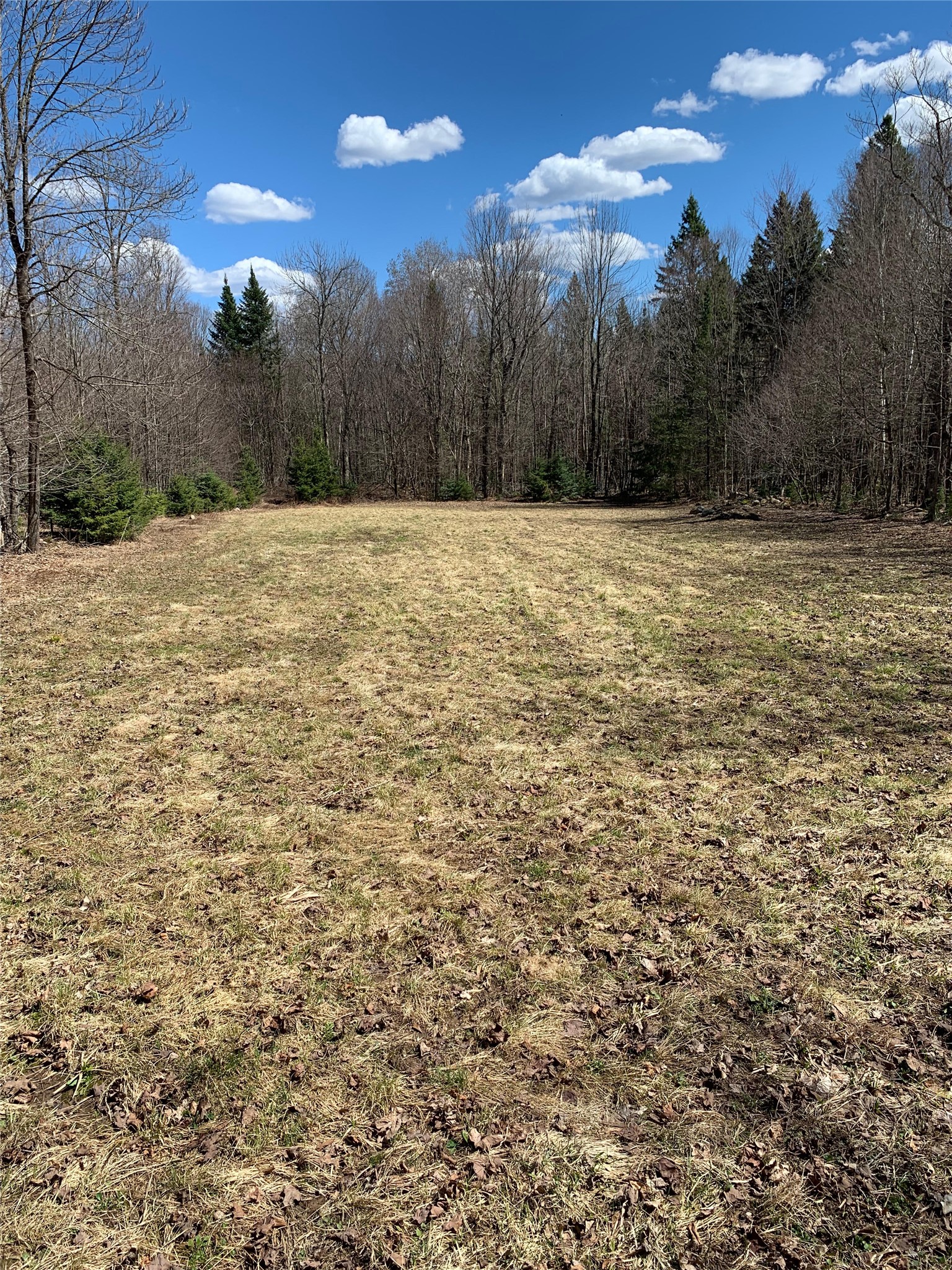 80-acres 80-acres Off South Park Road Butternut, WI 54514 - Photo 18 of 44