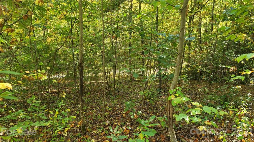 1 Carpenter Branch Road Maggie Valley, NC 28751 - Photo 14 of 22 Gallery Image 14