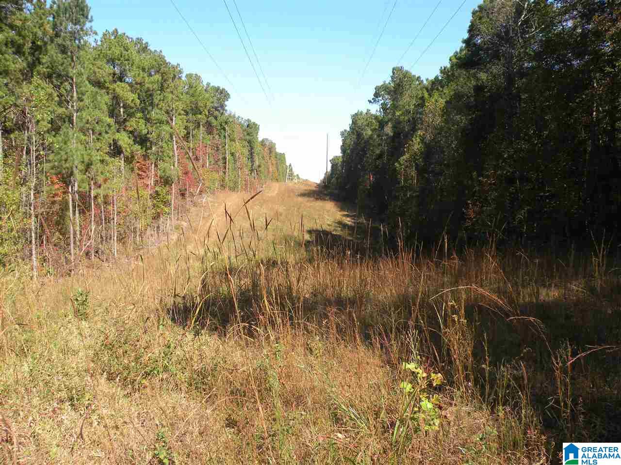 163 Thurman Road Talladega, AL 35160 - Photo 21 of 22