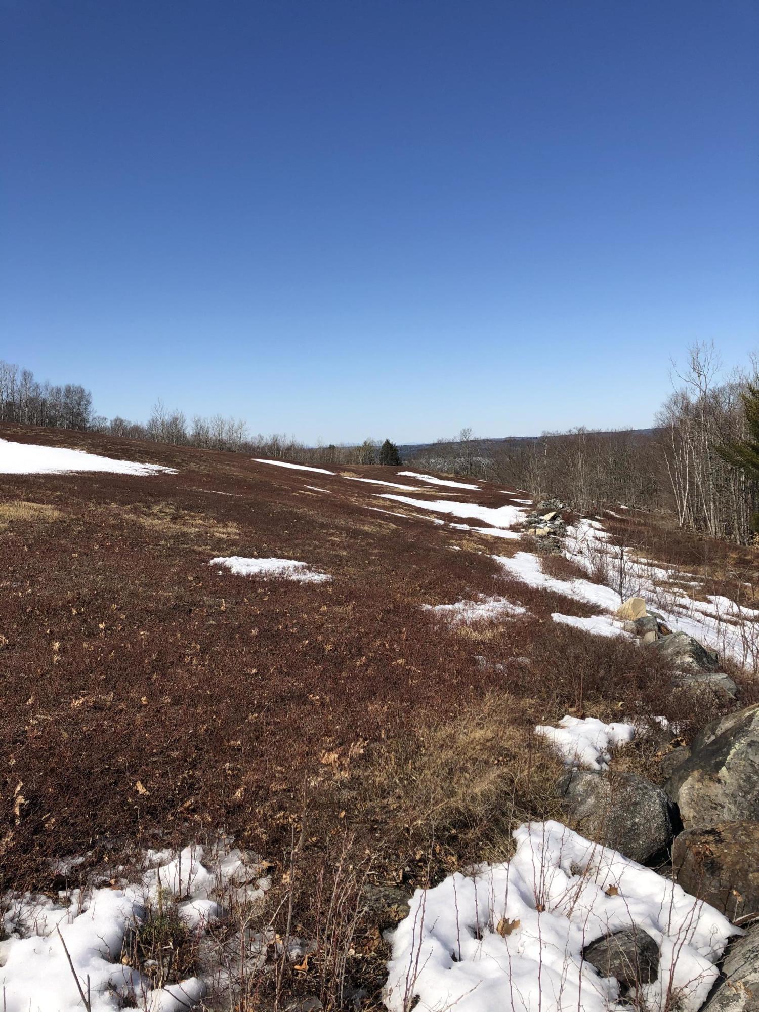 1390 Banton Road Palermo, ME 04354 - Photo 10 of 14 IMG_4552