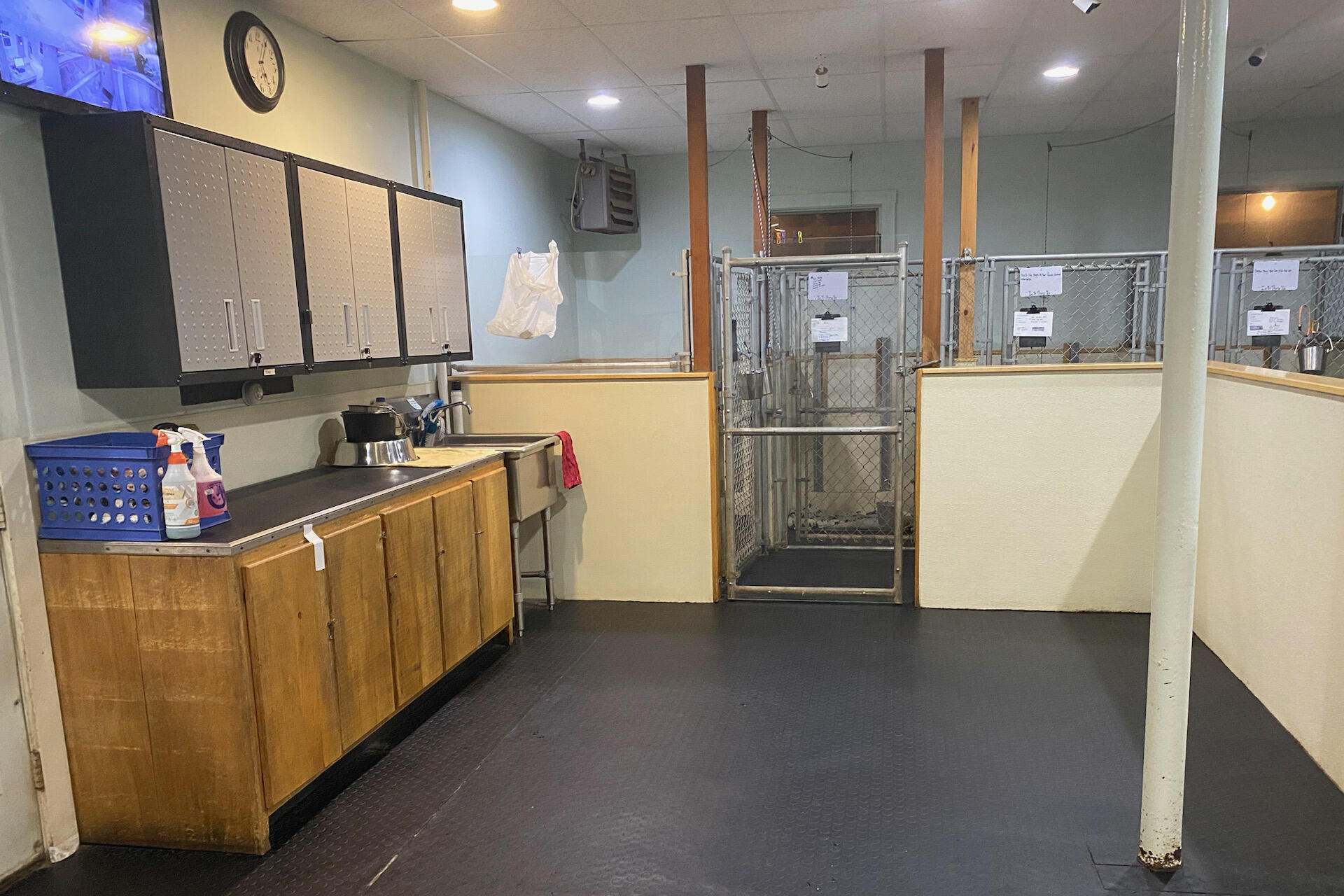 120 Sunday River Road Bethel, ME 04217 - Photo 22 of 25 Inside Kennel-1st Floor