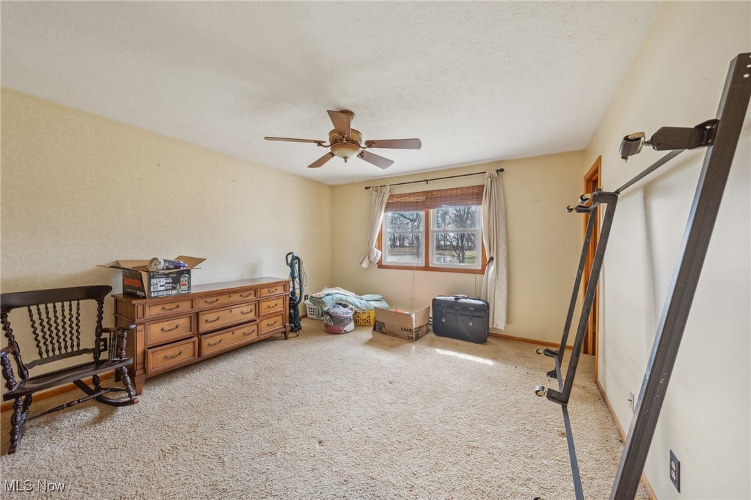 4790 Paradise Road Seville, OH 44273 - Photo 31 of 45 Carpeted bedroom with a ceiling fan, baseboards, and a textured ceiling