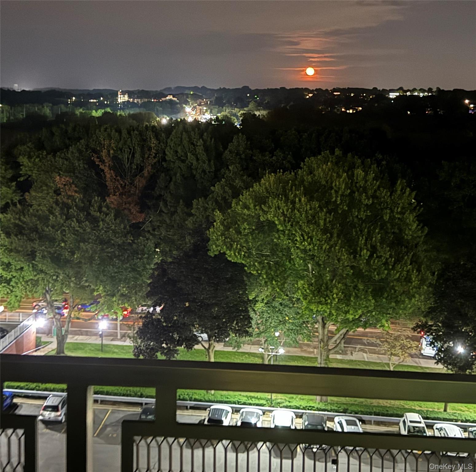 220-55 46th Avenue, Unit 10D Queens, NY 11361 - Photo 18 of 32