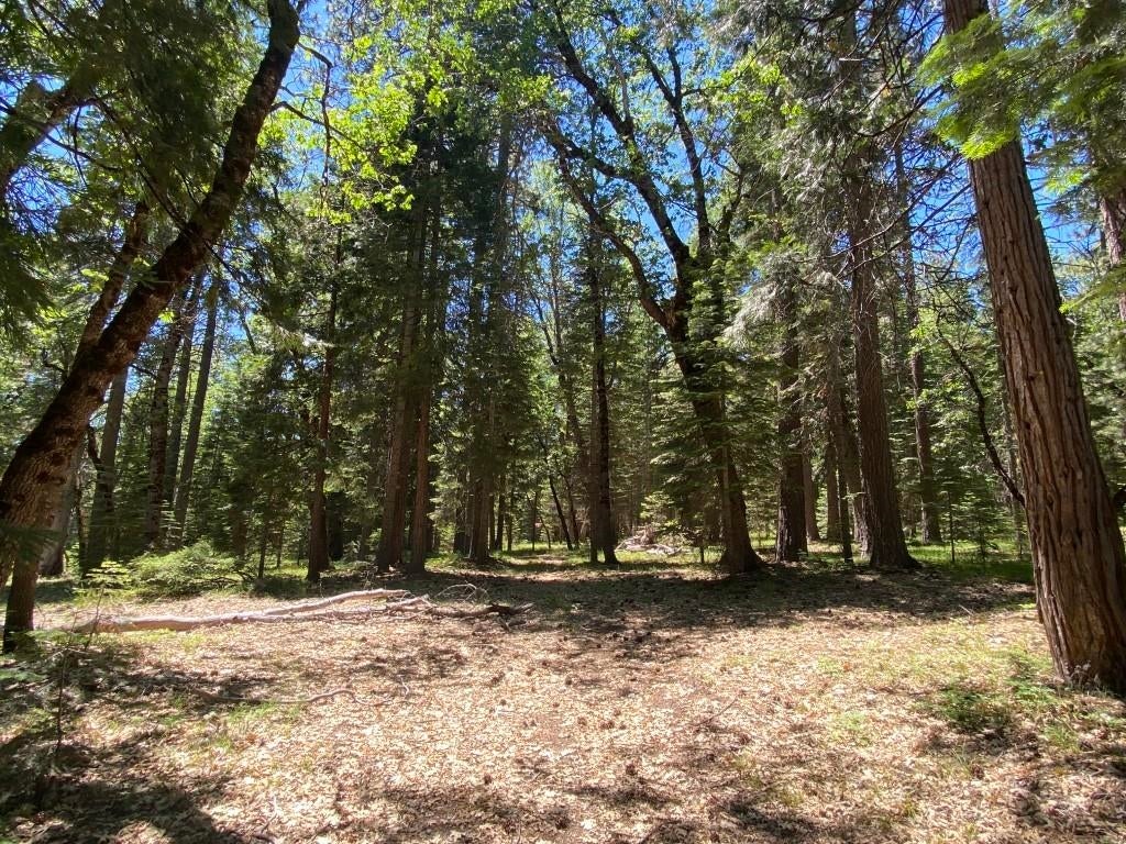 3-e-29 Red Fir Road McCloud, CA 96057 - Photo 7 of 22 Gallery Image 7