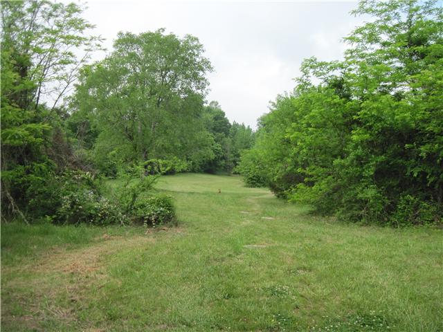 6416 Prospect Road Prospect, TN 38477 - Photo 6 of 9 a big yard with lots of green space and deers