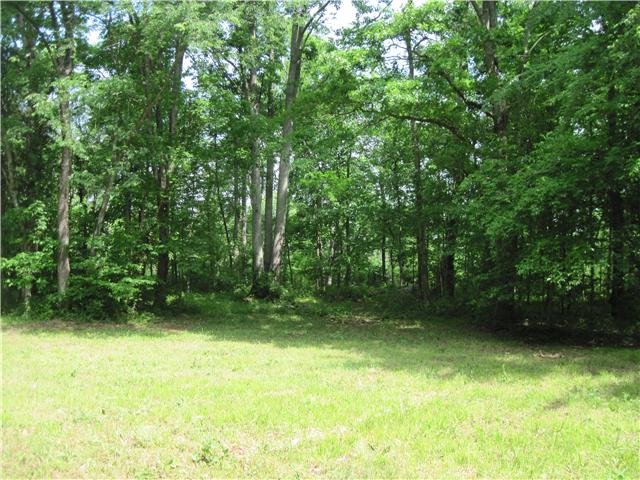 6416 Prospect Road Prospect, TN 38477 - Photo 7 of 9 a view of a yard